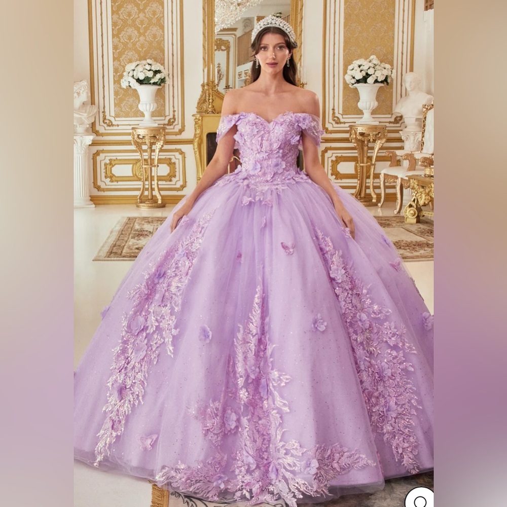 Floral and butterfly appliqué off shoulder Ball Gown by Ladivine